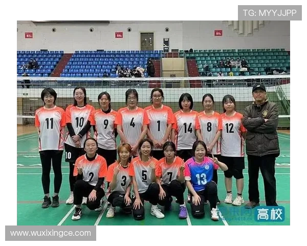 深圳排球队团队协作分析及其对比研究探讨 深圳排球队团队协作分析及其对比研究探讨