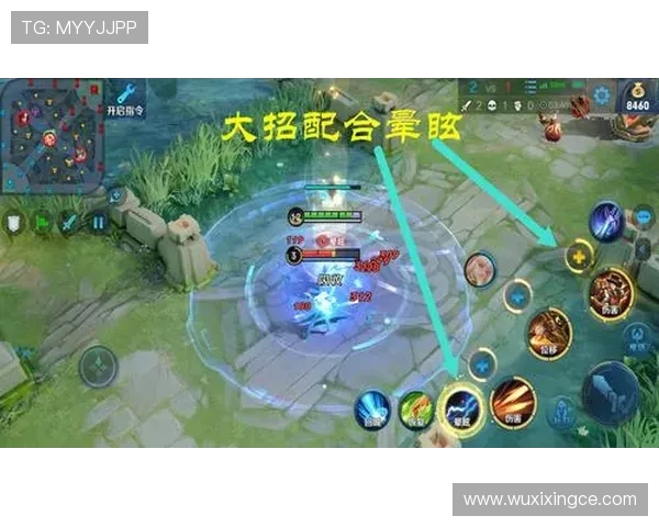 王者荣耀战术解析：WE战队中路突破体系的成功之道与实战应用