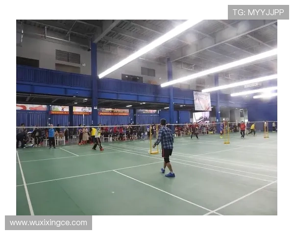 聚焦羽毛球：探讨北京羽毛球队在意识形态与文化传承中的角色与影响