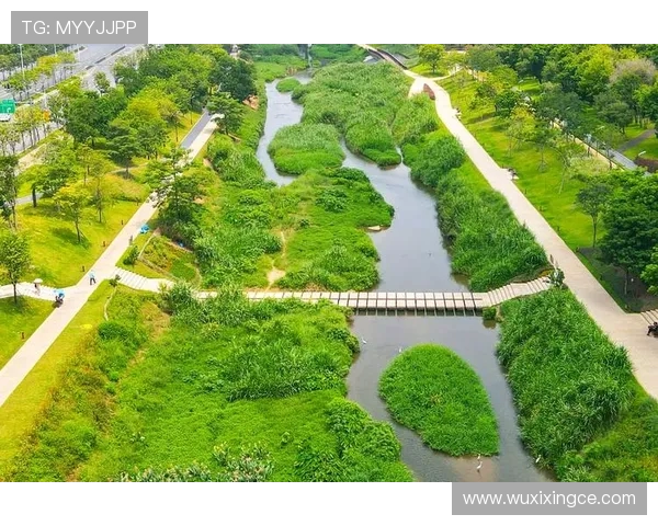 乌栖沙岩与自然奇观的碰撞探索生态之美与人文魅力的交融 乌栖沙岩与自然奇观的碰撞探索生态之美与人文魅力的交融