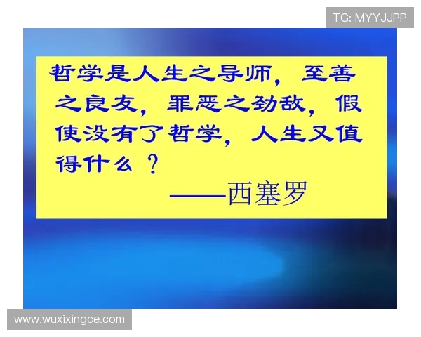 何思雨的成长旅程与人生哲学探索：从校园到职场的蜕变与反思