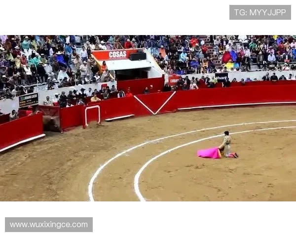 伐木者与休斯敦的激烈对决全场直播精彩瞬间回顾与分析 伐木者与休斯敦的激烈对决全场直播精彩瞬间回顾与分析