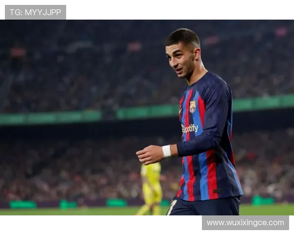 费兰托雷斯的崛起之路：从青训到世界舞台的闪耀旅程