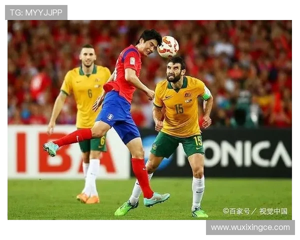 韩国与卡塔尔比赛胜率分析及影响因素探讨