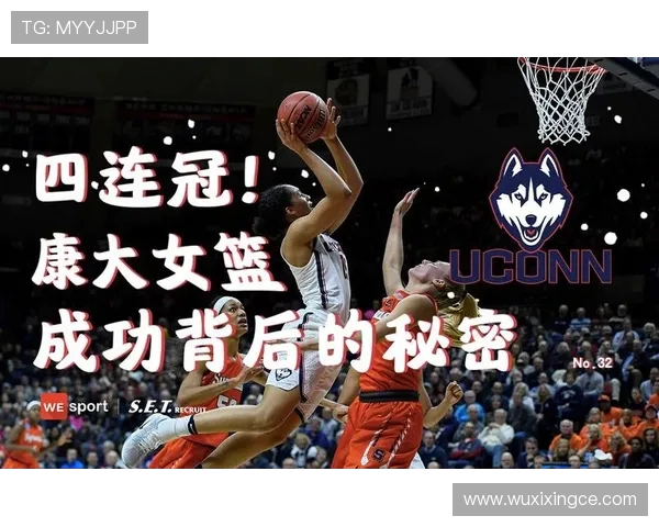 王娜专访揭秘英雄联盟成功背后的秘密与策略