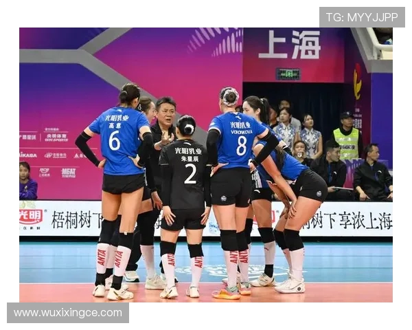 上海排球队再创佳绩最新排球速度排行榜前十名揭晓