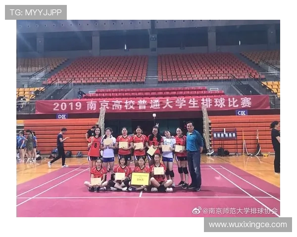 南京排球队实力解析与发展前景探讨