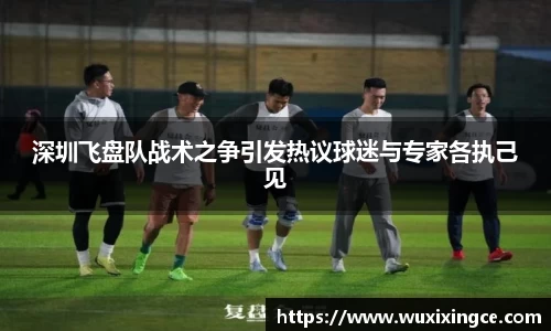 深圳飞盘队战术之争引发热议球迷与专家各执己见