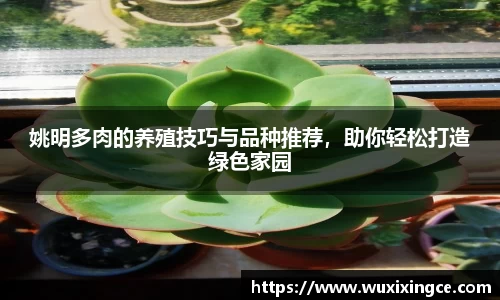 姚明多肉的养殖技巧与品种推荐，助你轻松打造绿色家园